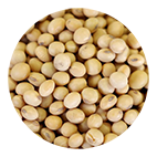 How to import soybeans